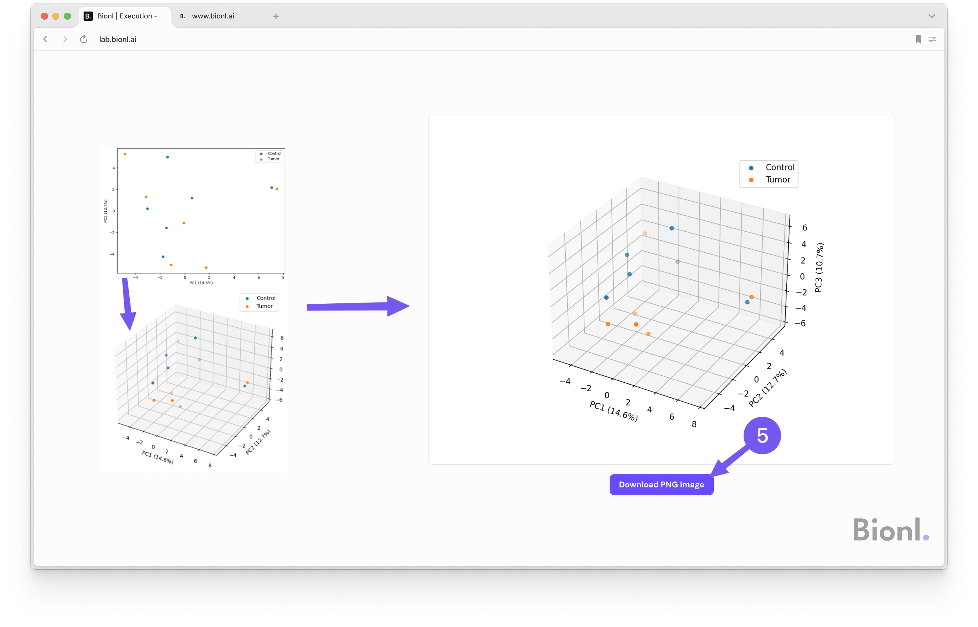 Step 5: Iterate & explore effortlessly