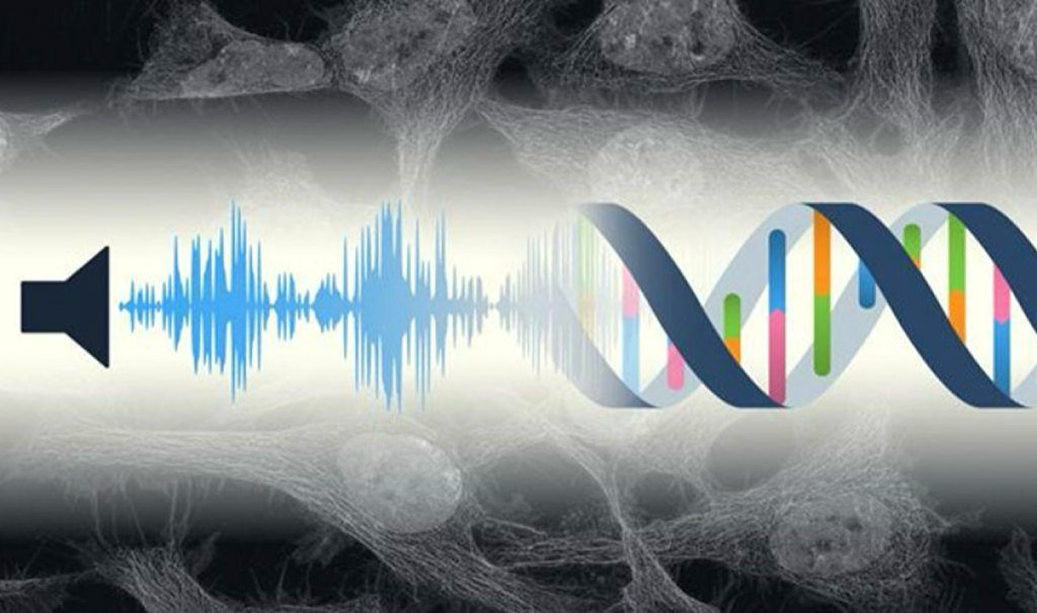 Hearing Loss Explained: Syndromic, Non-Syndromic, and the Power of Bioinformatics